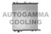 AUTOGAMMA 102991 Radiator, engine cooling